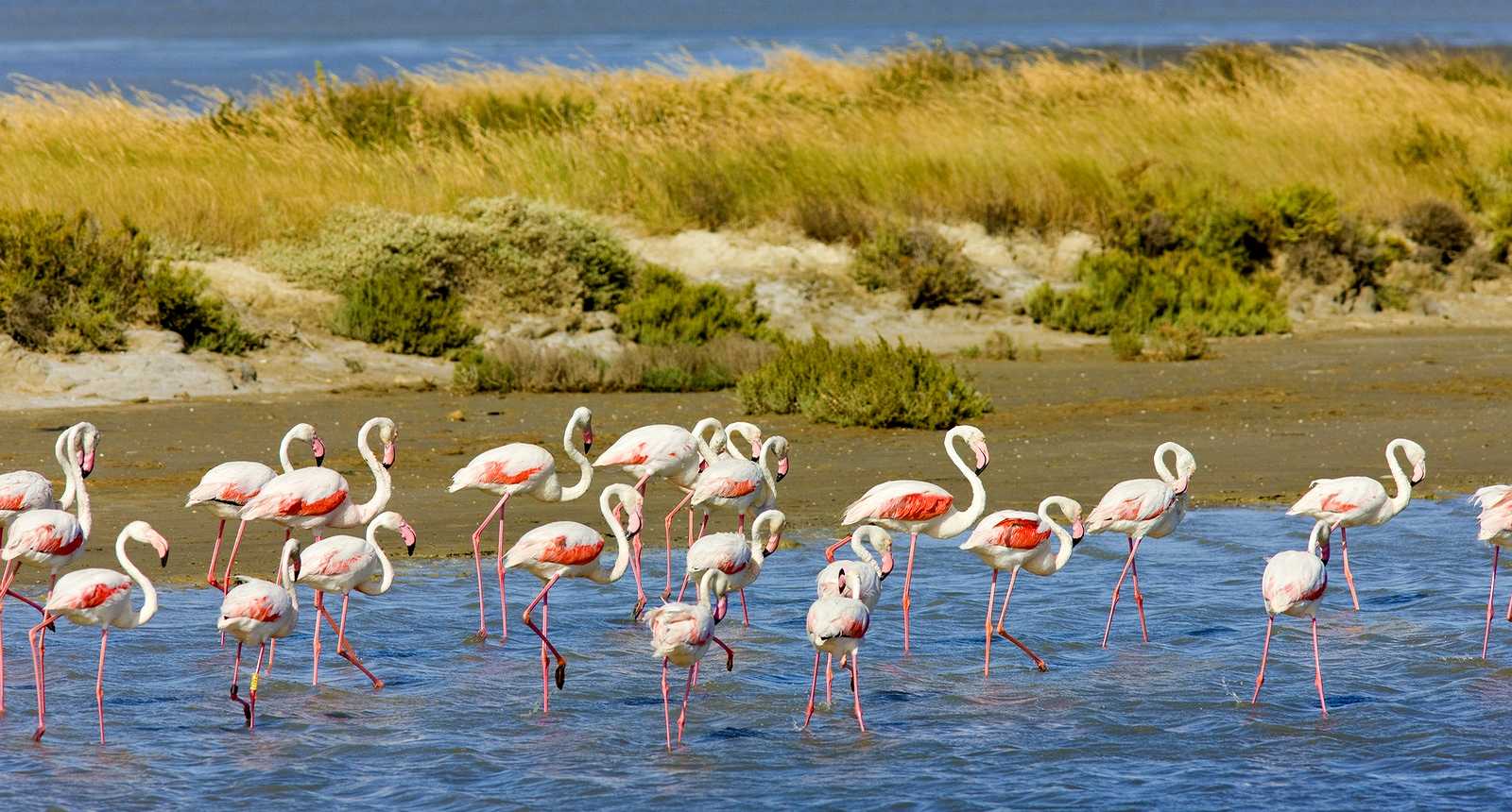 Week End en Famille en Camargue
