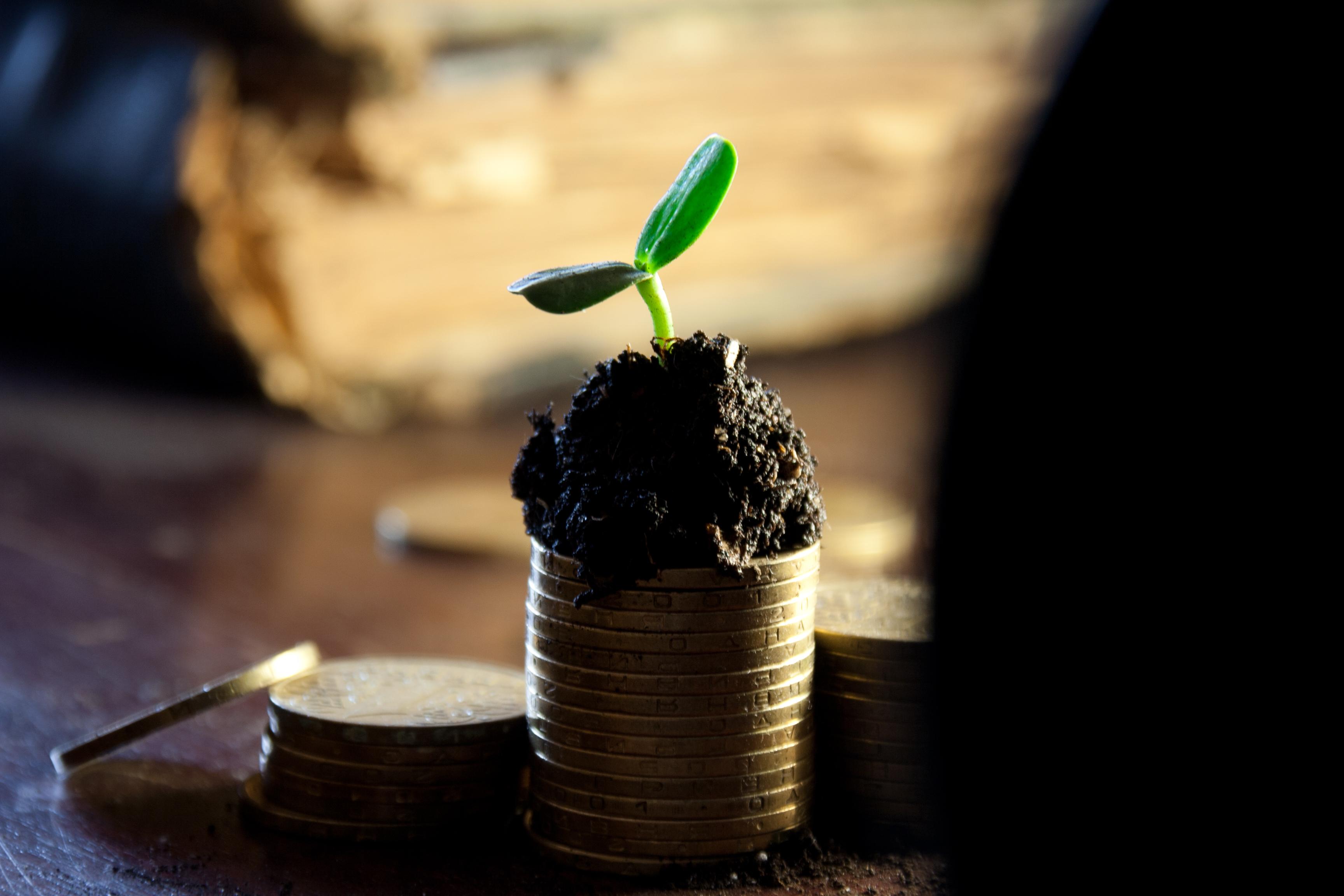 Le Forum de l’économie du Queyras, une initiative locale soutenue par l’ACSSQ :