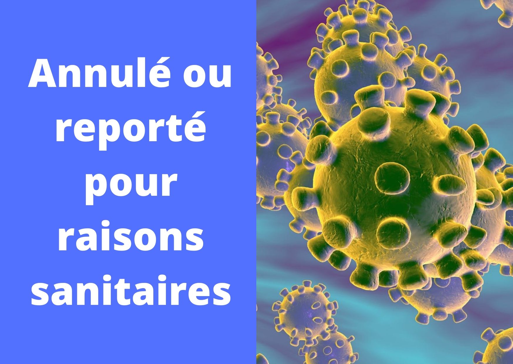 Suspension des actions familles liée au Covid-19