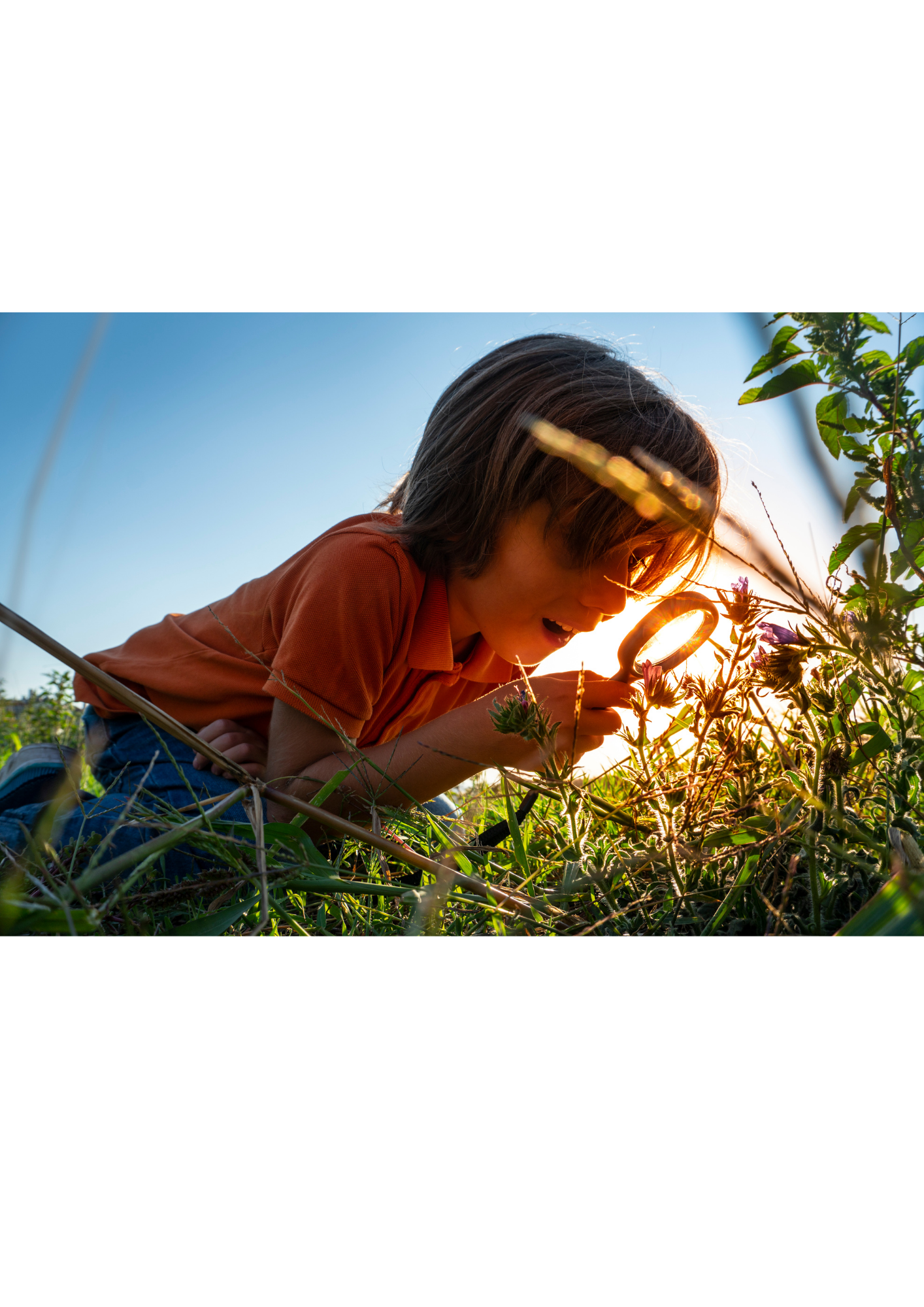 Programme des actions familles – Printemps 2022