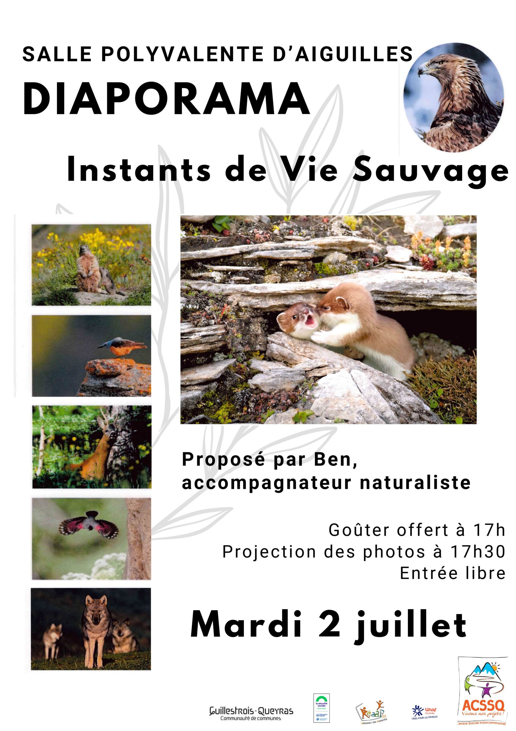 Instants de vie sauvage