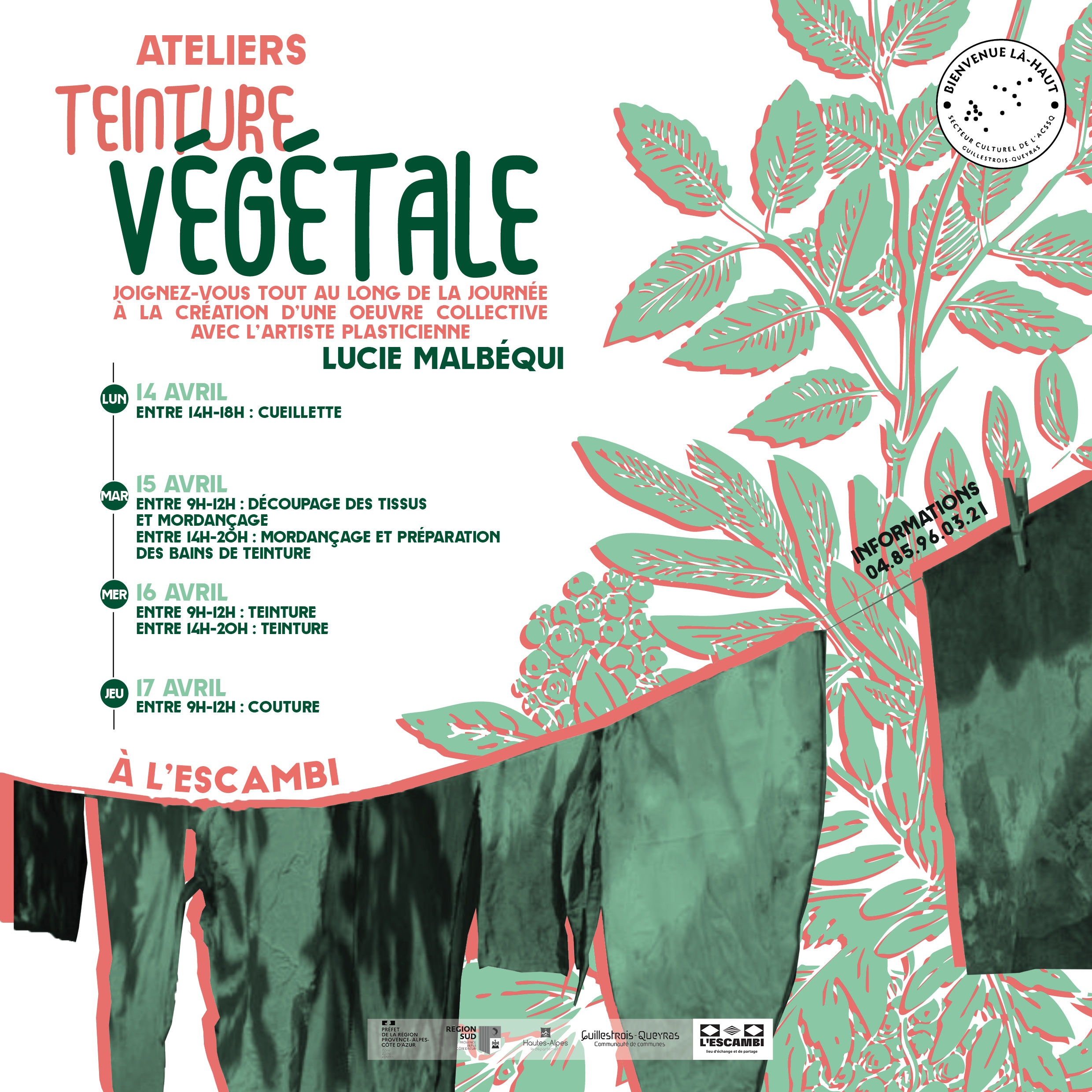 Ateliers teinture végétale