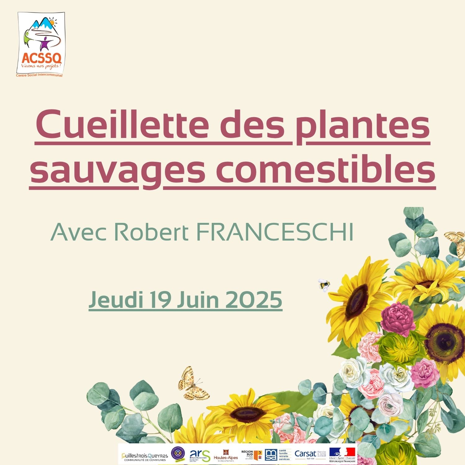SORTIE CUEILLETTE DES PLANTES SAUVAGES COMESTIBLES